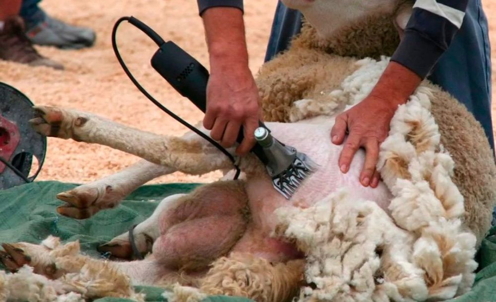 Куй юнгини олиш ва аппаратларни тамирлаш хизматлари