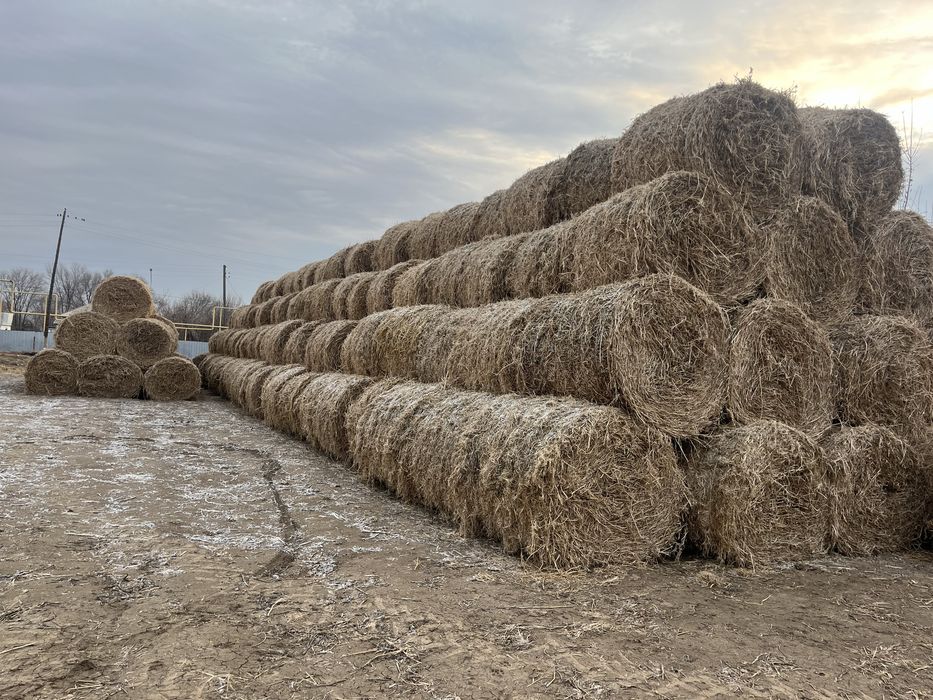 Соевая салома