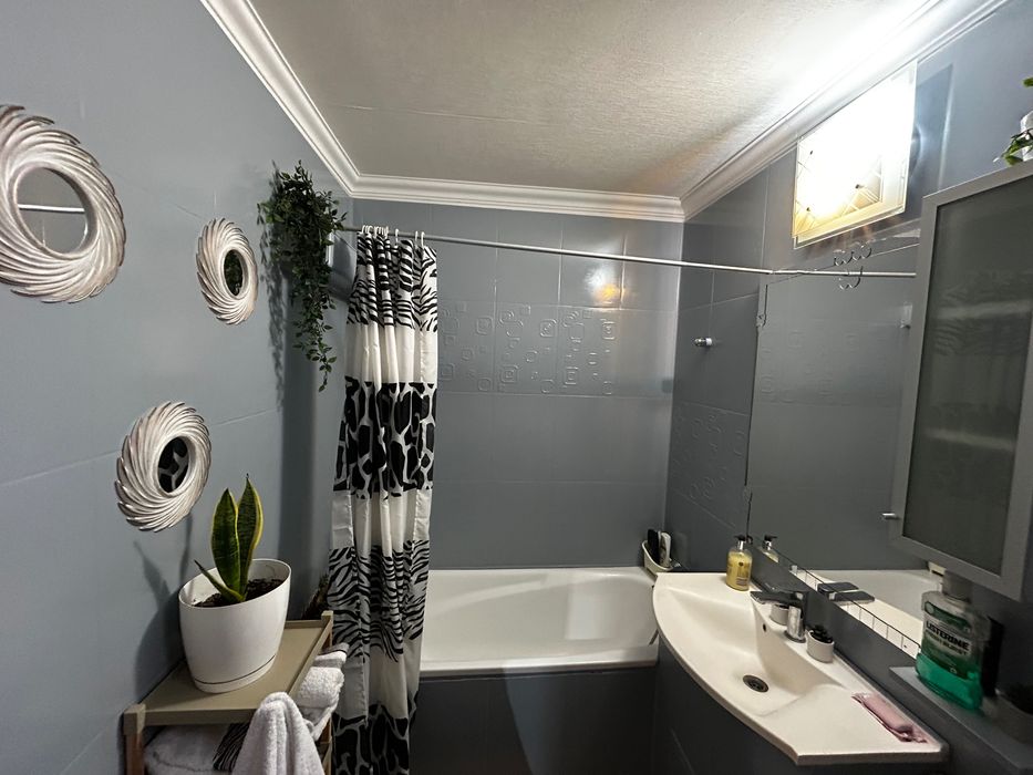 Apartament de închiriat