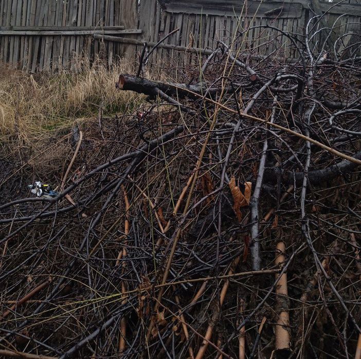 Продаю дрова в хорошем состоянии