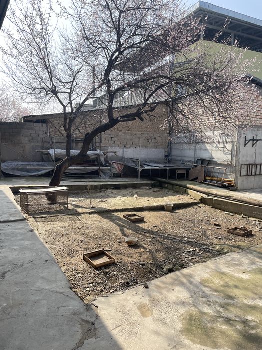 Xovli sotiladi srochniy narx kelishiladi