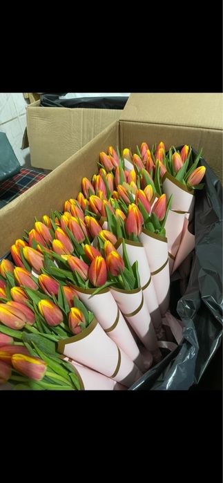 Тюльпаны отпом.