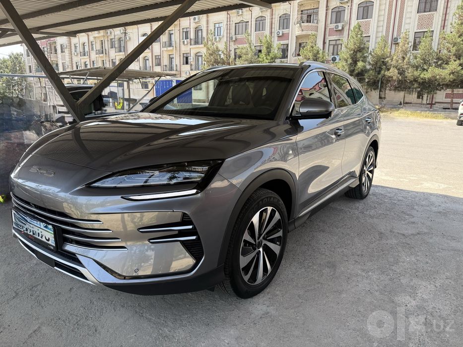 BYD champion dm-i