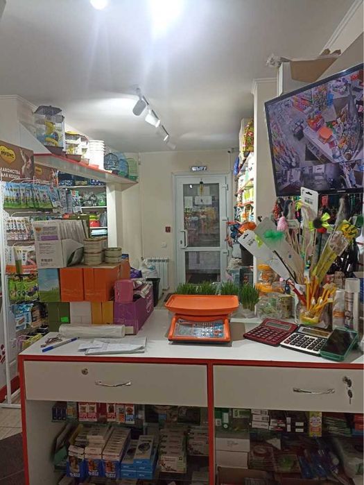 Зоомагазин помещение