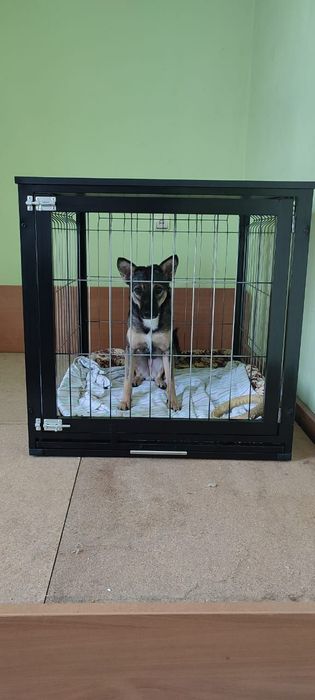 Вольеры в наличии