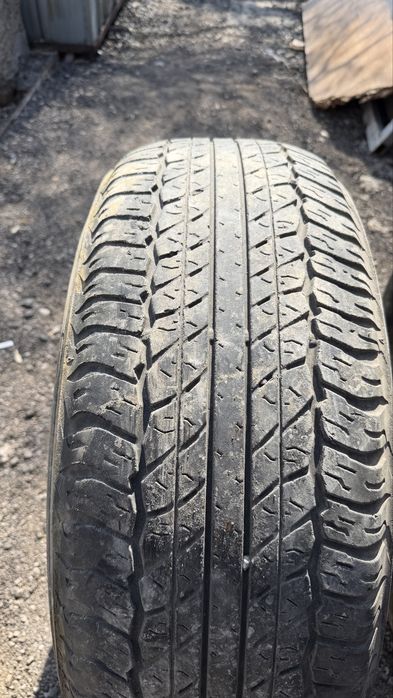 Продам резину R17 Dunlop