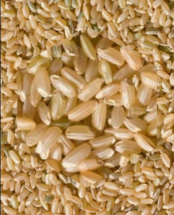 Купить бурый рис | красный рис | черный рис в Алматы с доставкой