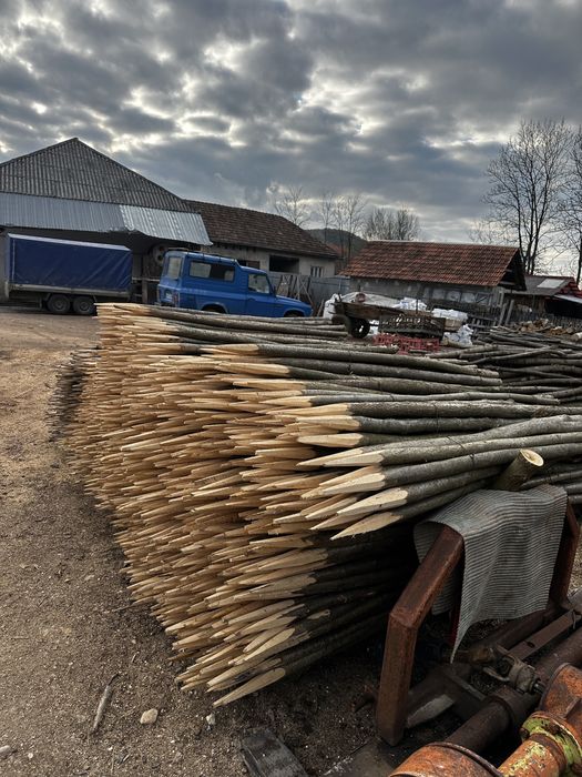 Vând parii fasole si rosii