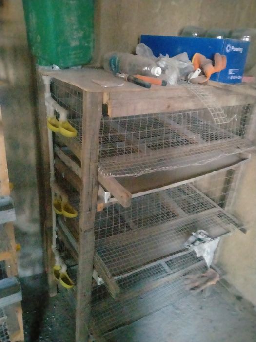 Клетка сатылады30мин 3етаж