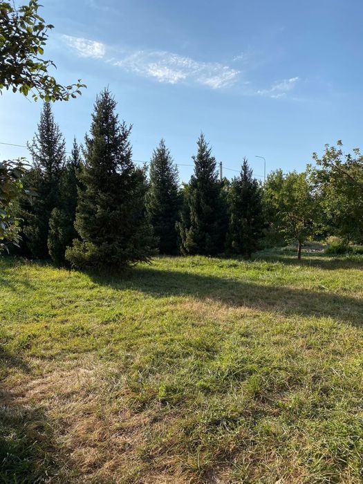 Сдаётся коттедж в аренду посуточно