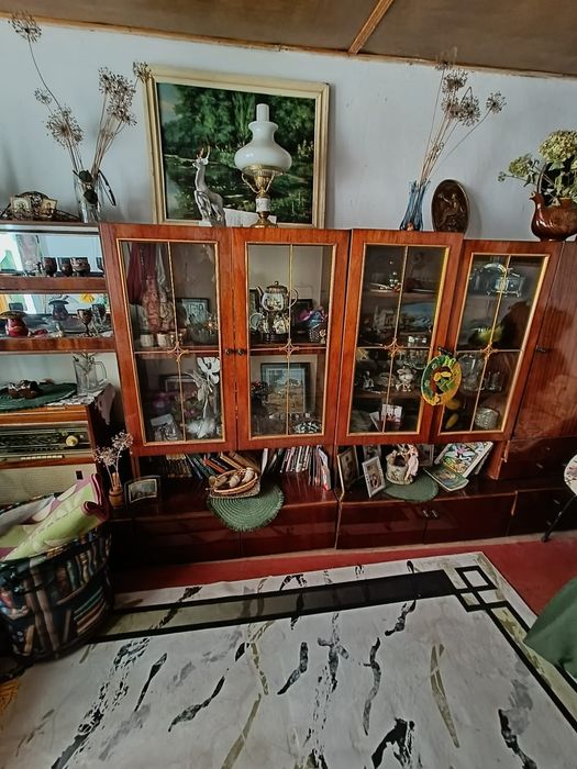 Дачи,  Самсоновка, с/о Мелиоратор