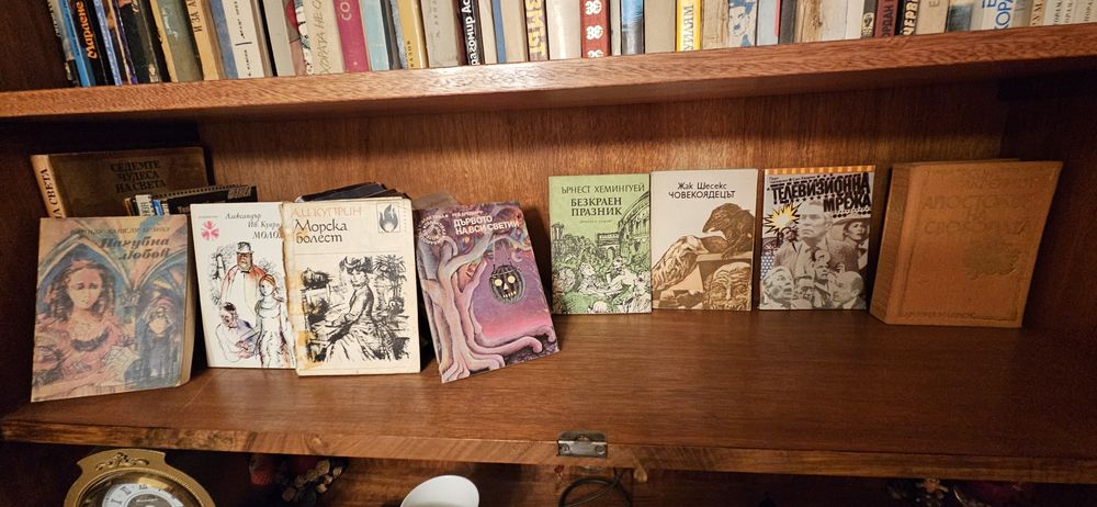 Книги: класика, романи, криминале, бит, хандбал и други