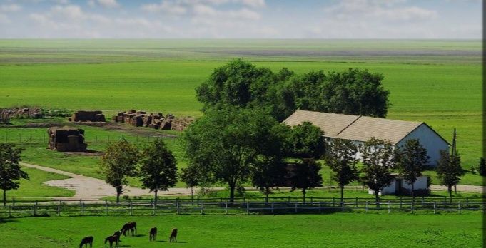 Продам  крестьянское хозяйство