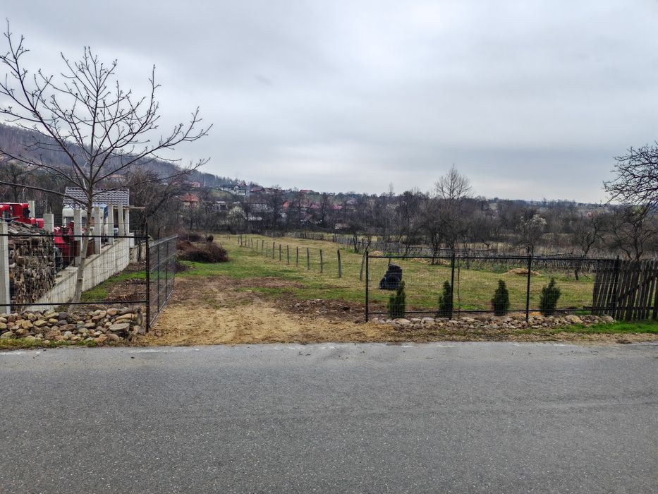 Teren Baia de Fier -Peștera