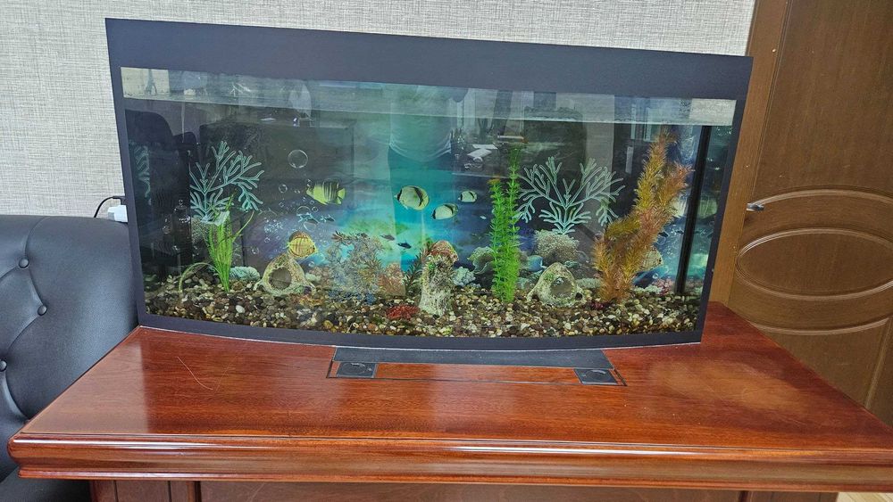 AKVARIUM sotiladi