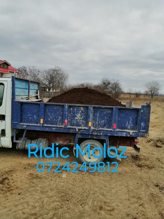 Ridic Moloz/Aduc Pamant Negru Vegetal