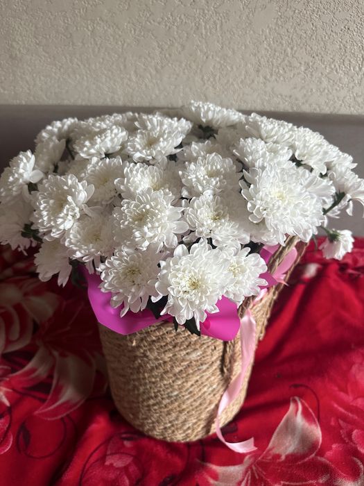 продам  цветы б/у