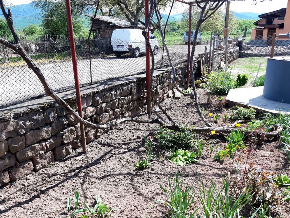 Дялан камък - ЗИД