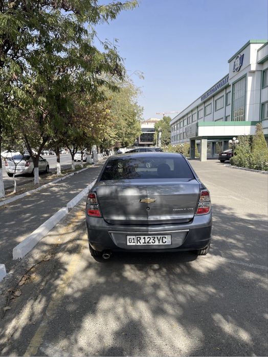 Cobalt Midnight 2025