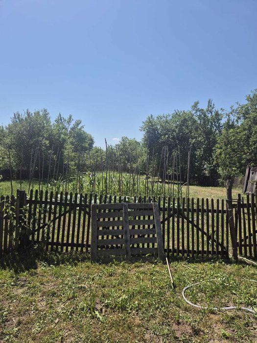 Vând casă tradițională cu anexe și teren de 2500 mp – Zonă liniștită pe Valea Sărată