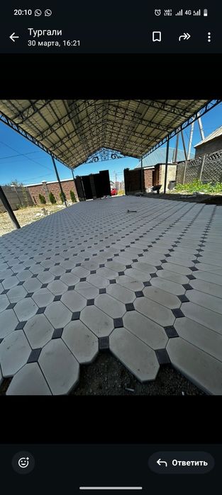 Уклатка бручатка