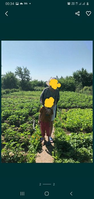 Меняю дачу Акжар 1 на полуторку