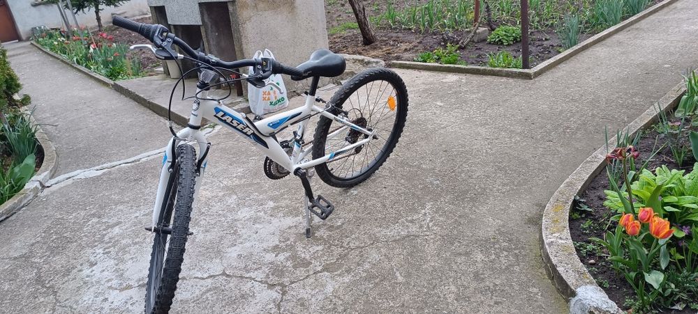 Велосипед Драг Лазер 24