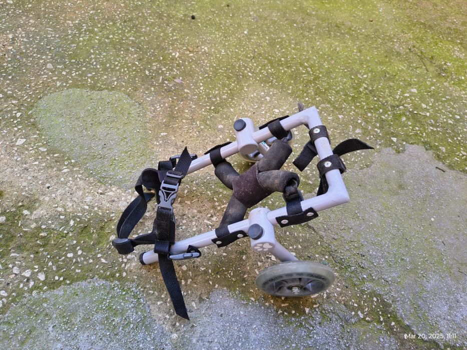 Инвалидна количка за малко куче / 10кг