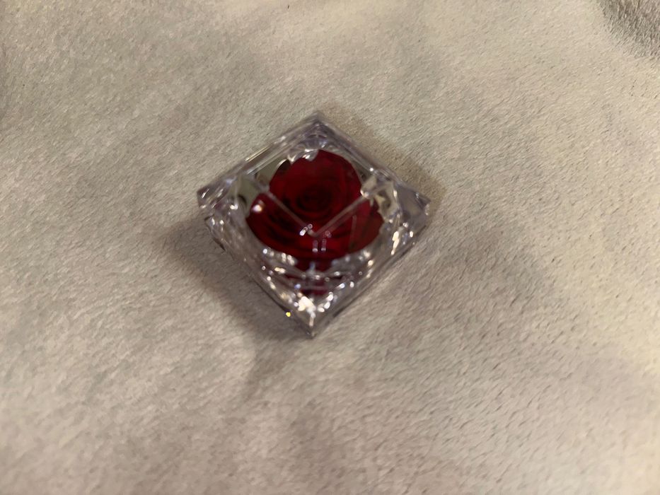 Вечна роза в стъклена кутия