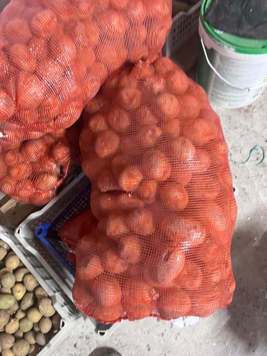 Картошка 250 тг/кг