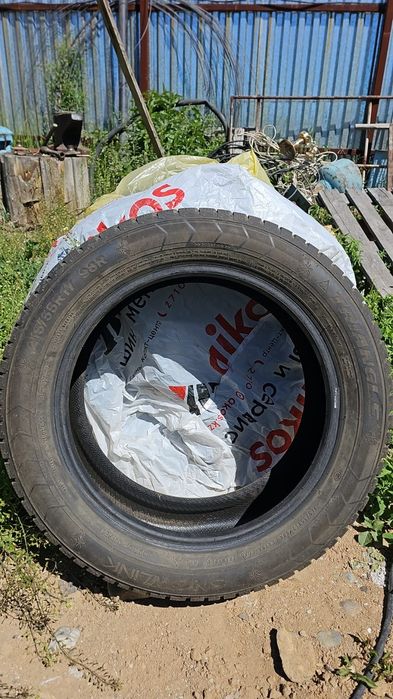 Продам зимнюю резину Трианджл