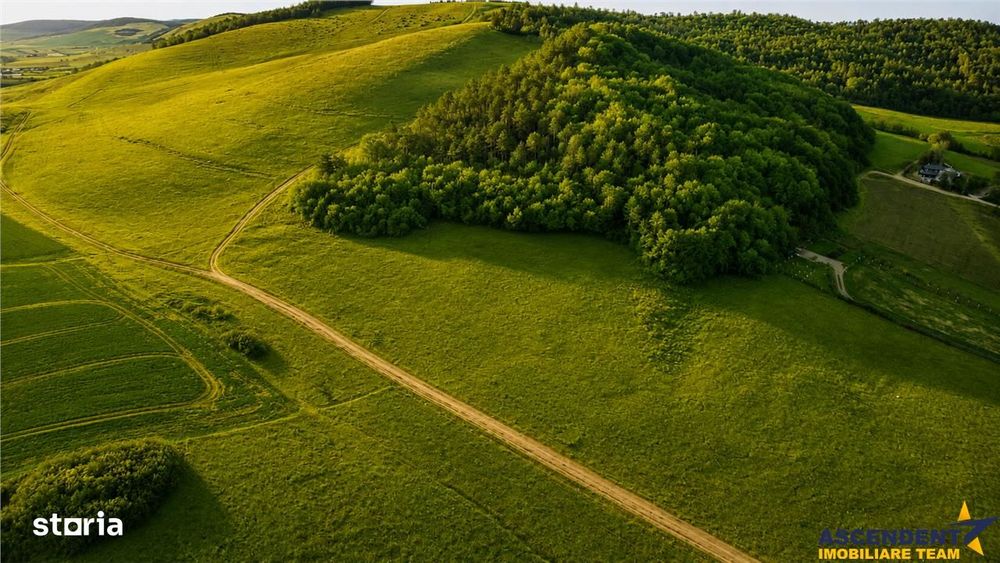 6.000 mp teren granitat de liziera compacta de padure, ecran natural d