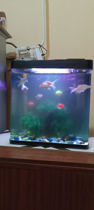 Аквариум сотилади