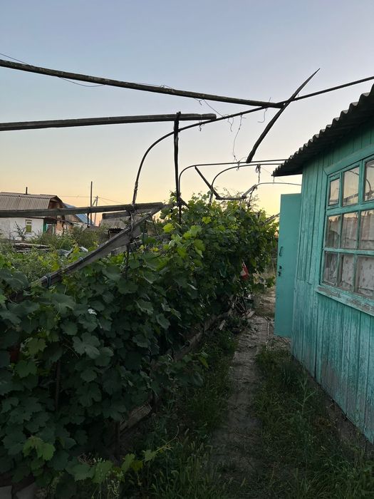 Продам дачный участок с домиком