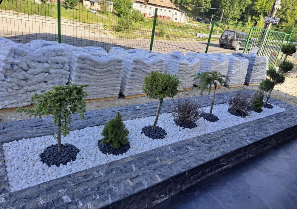 Amenajari gradini cu plante orice specie