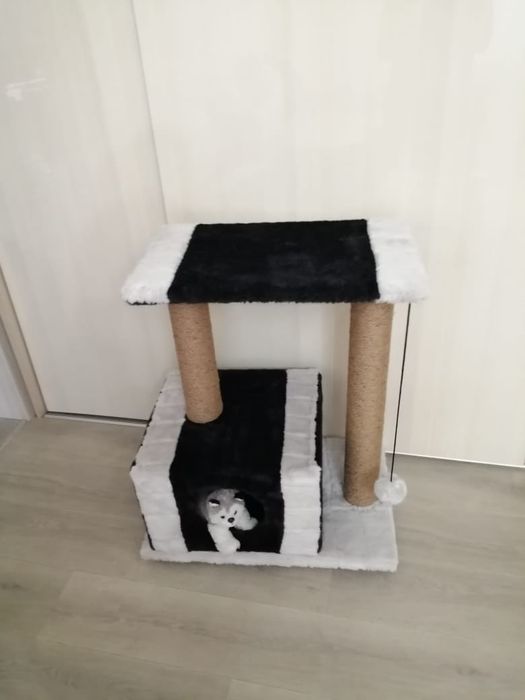 Продаю домики для кошек