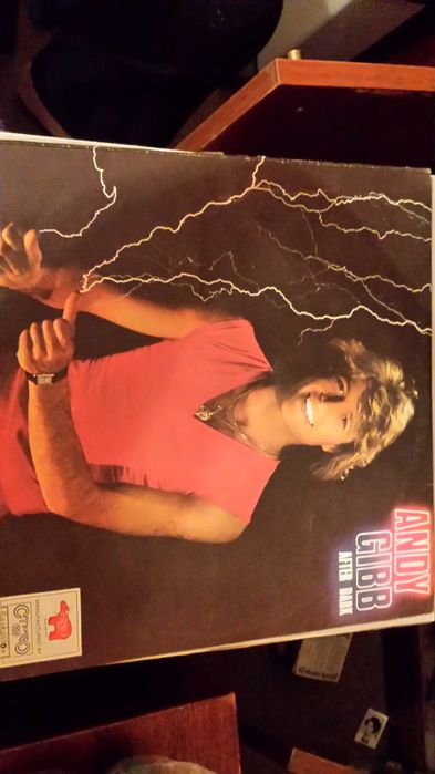 Грамофонни плочи, всяка една по 40 лв.