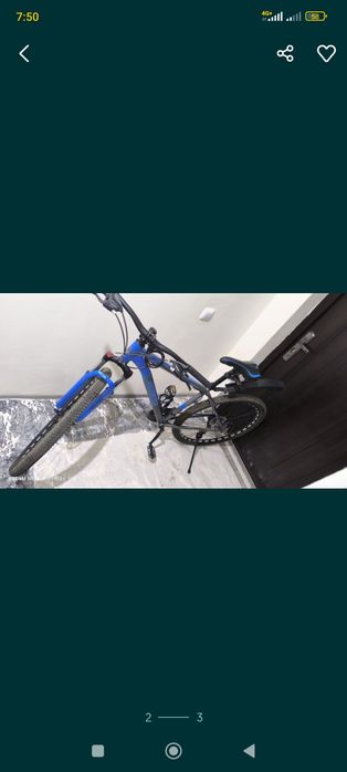 Shimano Yaponskiy velik 29