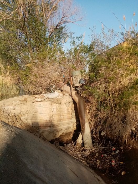 15kw dinam nasos bilan