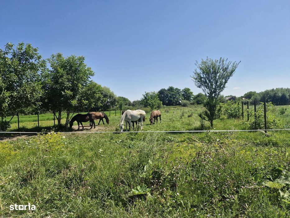 Teren intravilan de vânzare în Stupini