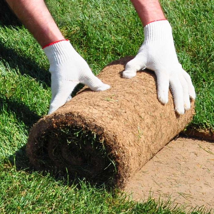 Газон по низким ценам