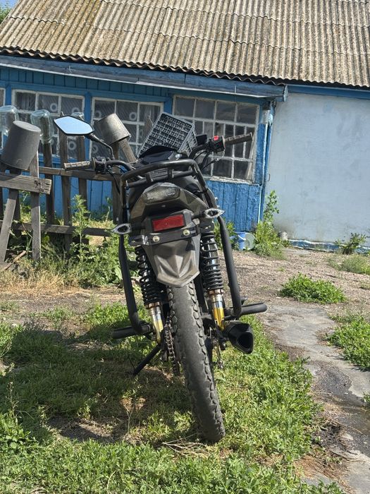 мопед champ rs 12