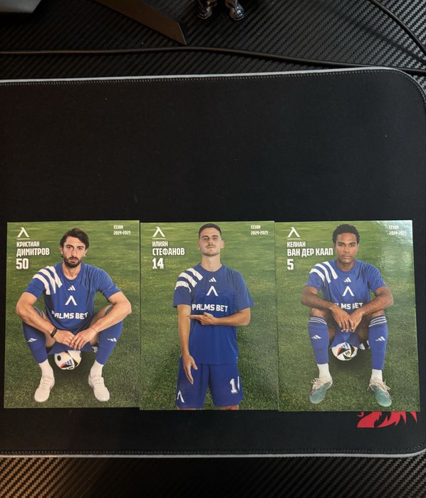 Левски София Карти 2024/25