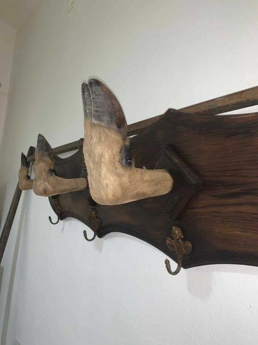 Cuier pentru cabana vanatoreasca cu 5 carlige din bronz