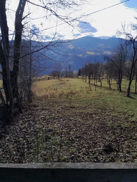 Teren cabana intravilan Albac 1400 mp CF panoramic