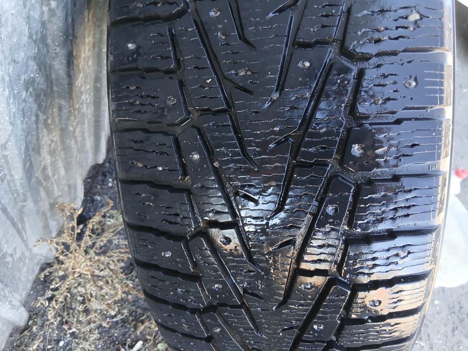 Резина зимняя шипованная