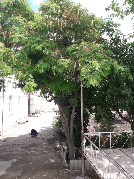 Продам срочно участок