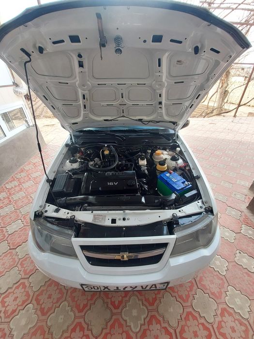 Xarajati yo'q olasizu minasiz .Dakument 25-maydan keyin bo'ladi