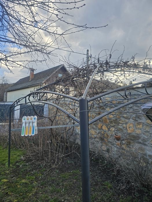 Vand pergola pentu vita de vie cu tot cu vita
