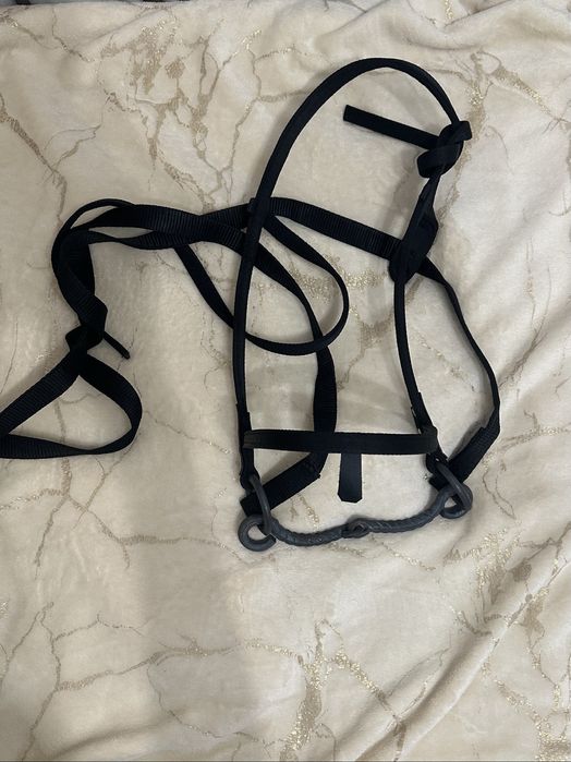 Уздечка жуген жылқыға